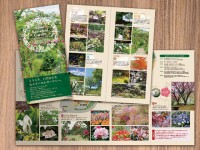自然植物園様の案内パンフレット